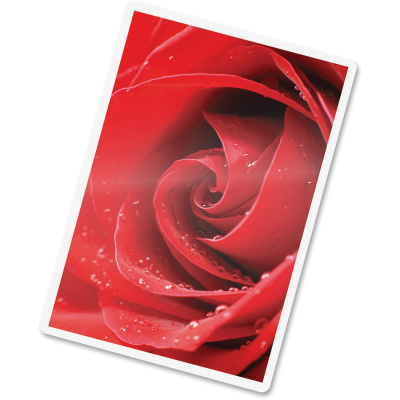 Fellowes Photo Card Glossy Thermal Laminating Pouches (FEL5208301)