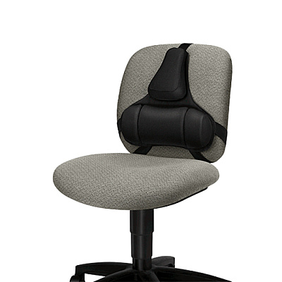 Fellowes Professional Series Back Support with Microban Protection (8037601)