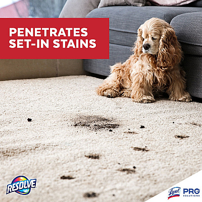 RESOLVE Spot & Stain Carpet Cleaner (RAC97402CT)