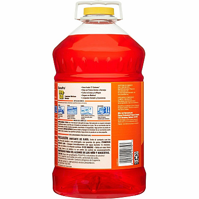CloroxPro Pine-Sol All Purpose Cleaner (CLO41772CT)