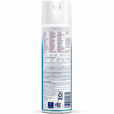 Professional LYSOL Disinfectant Spray (RAC04675CT)