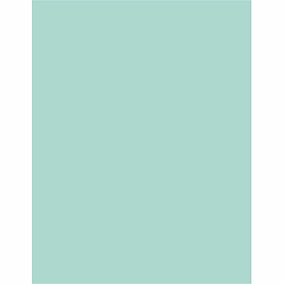 Sparco Premium Grade Pastel Color Copy Paper (05121CT)