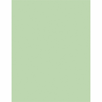 Sparco Premium Grade Pastel Color Copy Paper (05123CT)