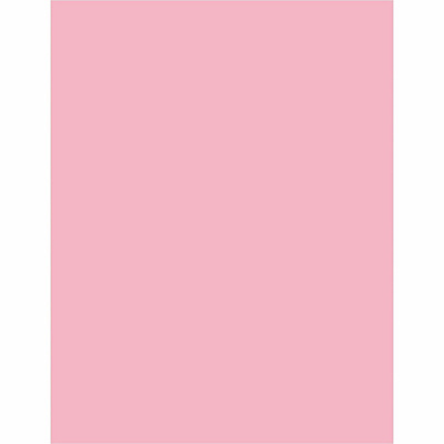 Sparco Premium Grade Pastel Color Copy Paper (05124CT)