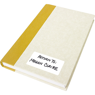 Avery Removable Labels (AVE05440)