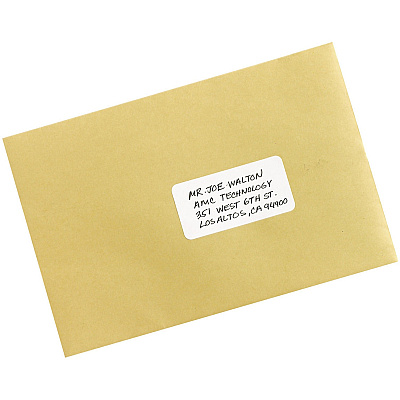 Avery Removable Labels (AVE05440)