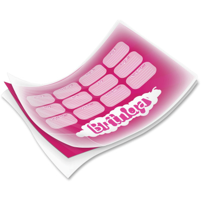Fellowes Letter-Size Laminating Pouches (FEL52042)