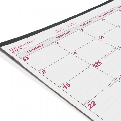 Brownline Professional Monthly Desk/Wall Calendar (C1731)