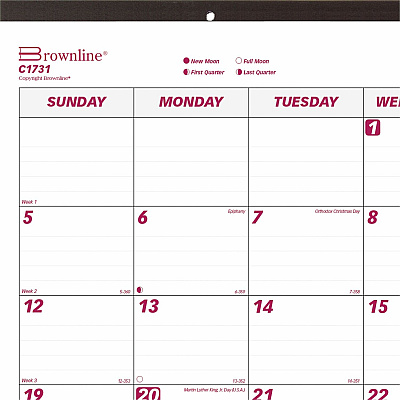 Brownline Professional Monthly Desk/Wall Calendar (C1731)