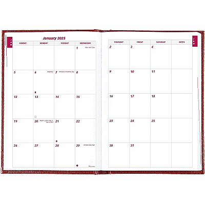 Brownline Daily Planner (CB389RED)