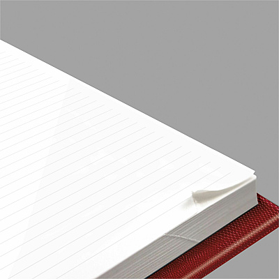 Brownline Daily Planner (CB389RED)