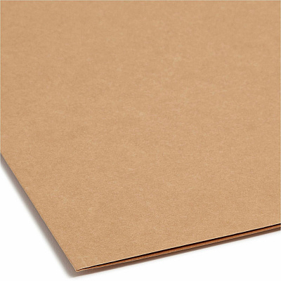 Smead Straight Tab Cut Letter Recycled Fastener Folder (SMD14813)