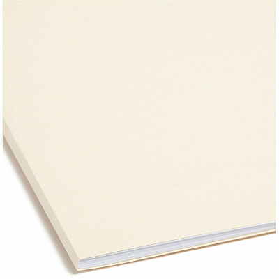 Smead 1/3 Tab Cut Letter Recycled Fastener Folder (SMD14538)