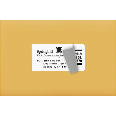 Avery Shipping Labels, Sure Feed, 2" x 4" , 100 Labels (AVE18163)