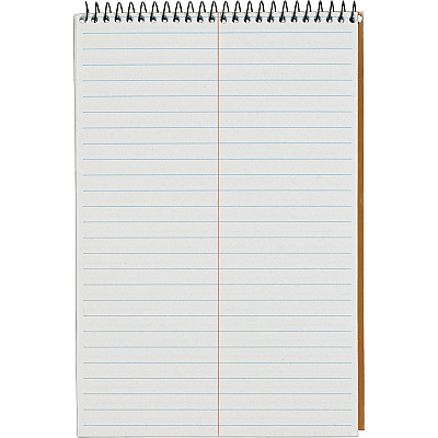 TOPS Second Nature Spiral Steno Notebook (TOP74690)
