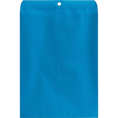Quality Park 9 x 12 Clasp Envelopes with Deeply Gummed Flaps (QUA38737)