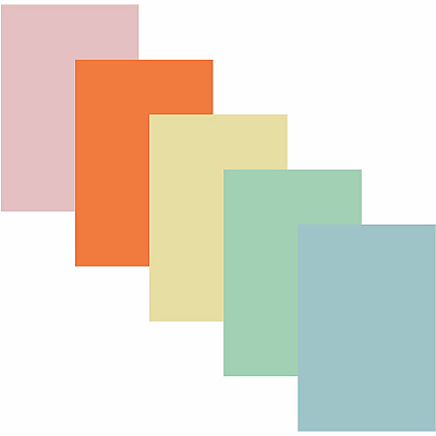 Pacon Assorted Tagboard (PAC5173)
