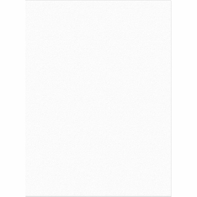 Tru-Ray Heavyweight Construction Paper (PAC103026)