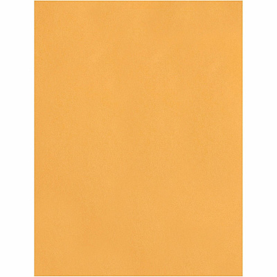 Quality Park 11-1/2 x 14-1/2 Heavyweight Catalog Mailing Envelopes (QUA41865)