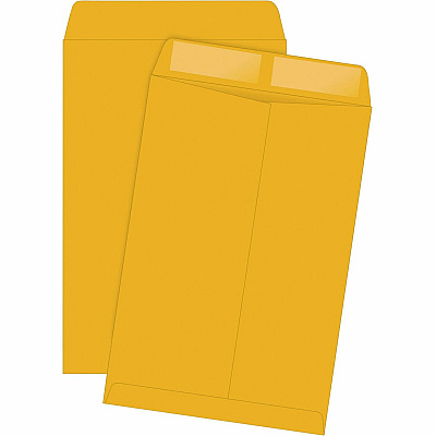 Quality Park 6 x 9 Catalog Envelopes (QUA40765)
