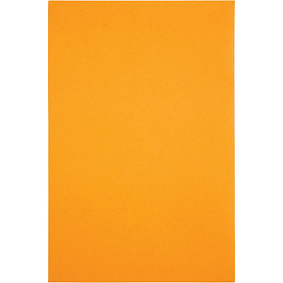 Quality Park 6 x 9 Catalog Envelopes (QUA40765)
