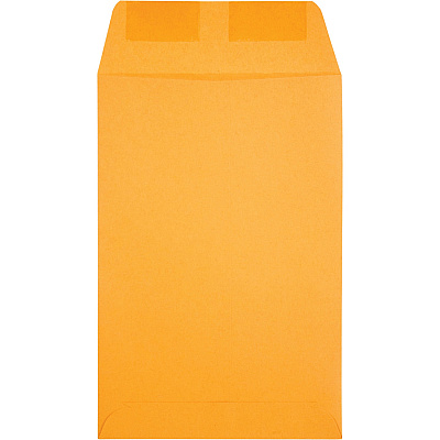 Quality Park 6 x 9 Catalog Envelopes (QUA40765)
