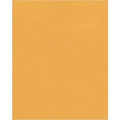 Quality Park Clasp Envelope (QUA37805)