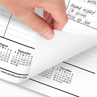 AT-A-GLANCE Ruled Desk Pad, 22 x 17, White Sheets, Black Binding, Black Corners, 12-Month (Jan to Dec): 2026 (SK2400)