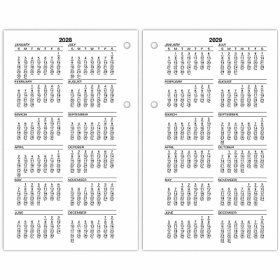 AT-A-GLANCE Burkhart's Day Counter Desk Calendar Refill, 4.5 x 7.38, White Sheets, 12-Month (Jan to Dec): 2026 (E71250)