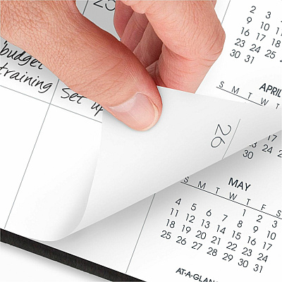 AT-A-GLANCE Monthly Planner, 11 x 9, Black Cover, 15-Month: Jan 2026 to Mar 2027 (7026005)