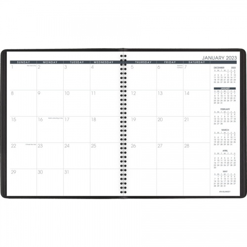 AT-A-GLANCE Monthly Professional Planner (7026005)