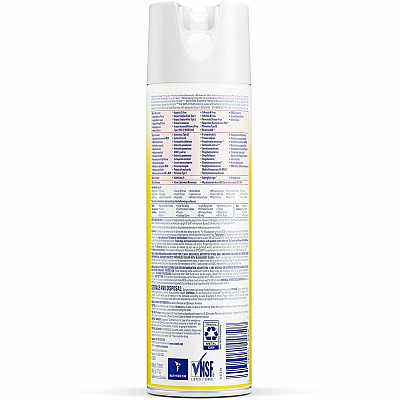 Professional LYSOL Original Disinfectant Spray (RAC04650EA)