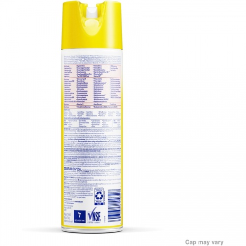 Professional LYSOL Original Disinfectant Spray (04650EA)