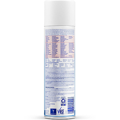 LYSOL Brand I.C. LYSOL Brand I.C. Disinfectant Spray (RAC95029CT)