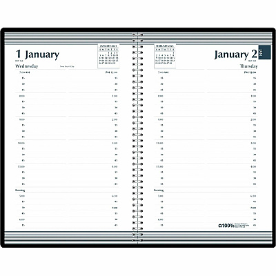 House of Doolittle Quarter-hourly Appointment Daily Planner (28802)