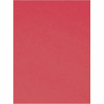 Tru-Ray Construction Paper (PAC103431)