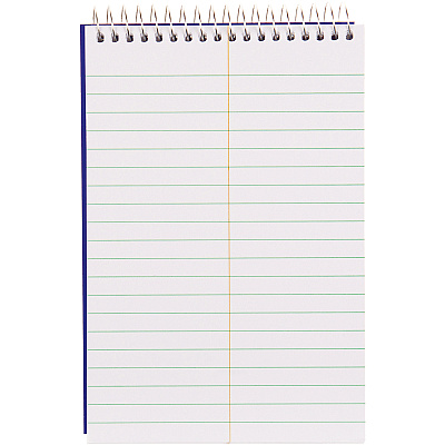 Blueline White Paper Wirebound Steno Pad (REDAT12B)