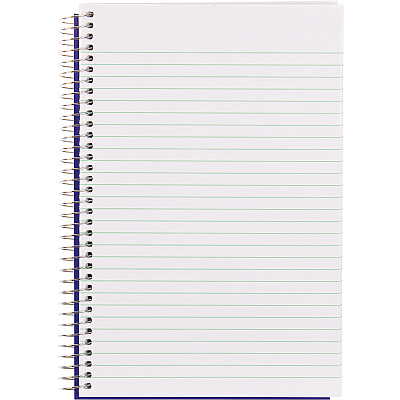 Blueline White Paper Wirebound Steno Pad (REDAT35B)