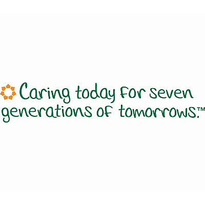 Seventh Generation 100% Recycled Paper Towels (SEV13720RL)