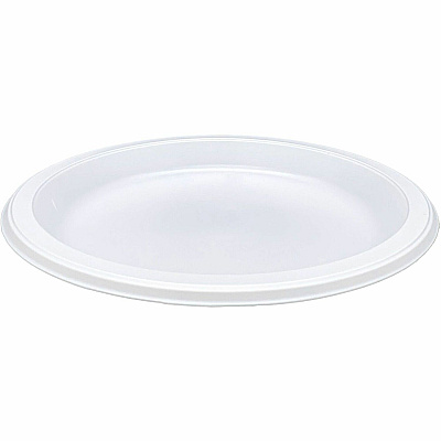 Genuine Joe 9" Reusable Plastic Plates (GJO10329)