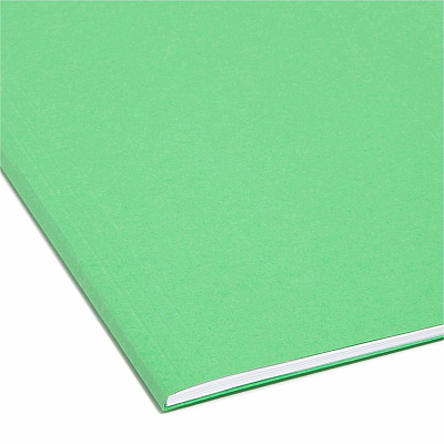Smead FasTab 1/3 Tab Cut Letter Recycled Hanging Folder (SMD64098)