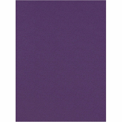Tru-Ray Construction Paper (PAC103019)