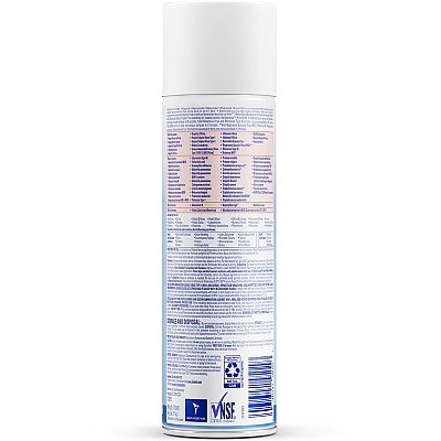 LYSOL Brand I.C. LYSOL Brand I.C. Disinfectant Spray (RAC95029EA)