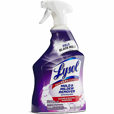 LYSOL Mold/Mildew Remover (RAC78915EA)