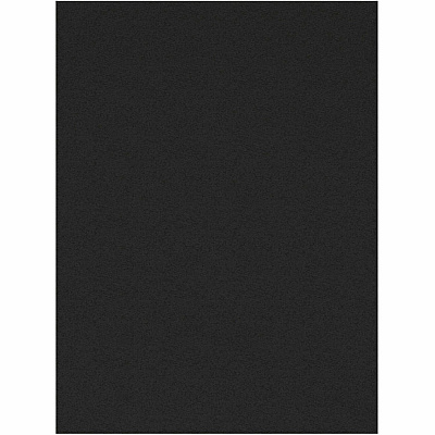Tru-Ray Construction Paper (PAC103029)