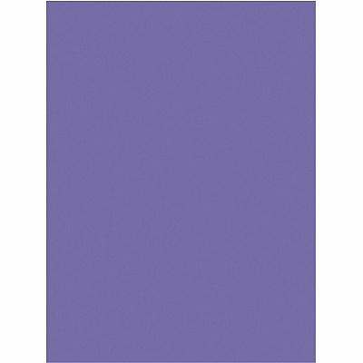 Tru-Ray Heavyweight Construction Paper (PAC103009)