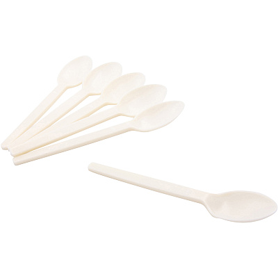 CONSERVE Disposable Spoon (BAU10232)