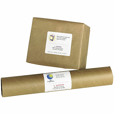 Avery Repositionable Labels, Sure Feed, 3-1/3"x4" , 600 Labels (AVE55164)