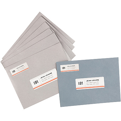 Avery Repositionable Address Labelss - Sure Feed Technology (AVE58160)