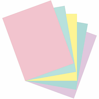 Pacon Cardstock Sheets - Assorted (PAC101195)
